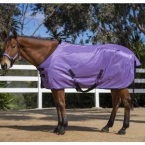 Kensington fly sheet